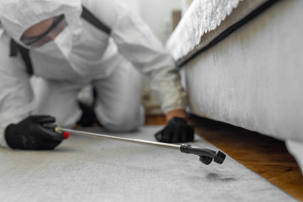 Professional Cockroach Control technician working in Woodlynne, NJ