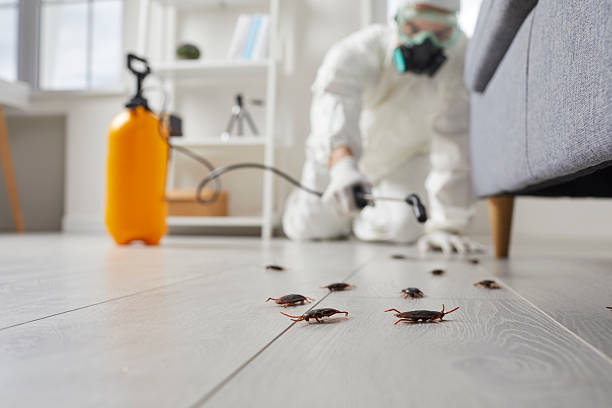 Trusted Rodent Control service in Woodlynne, NJ - Nex Pest Control