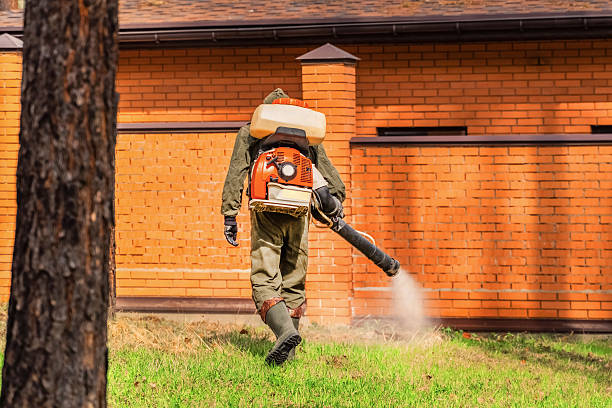 Trusted Emergency Pest Control service in Woodlynne, NJ - Nex Pest Control